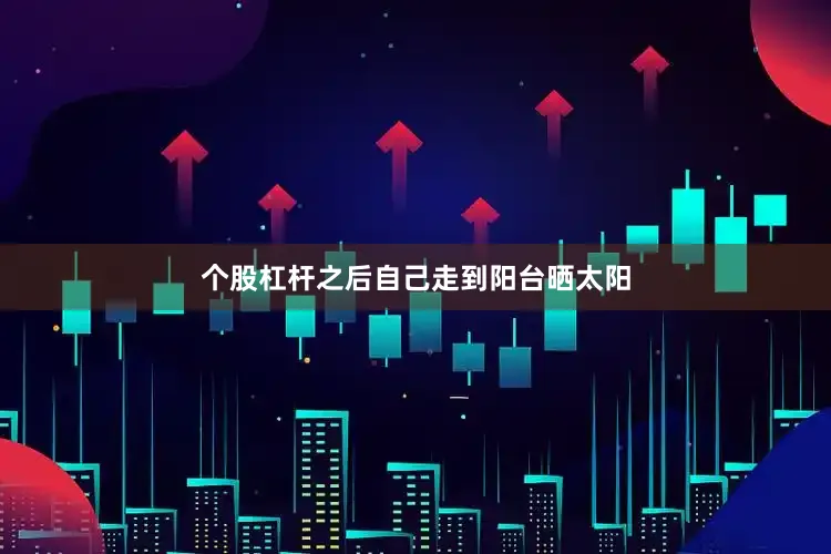 个股杠杆之后自己走到阳台晒太阳