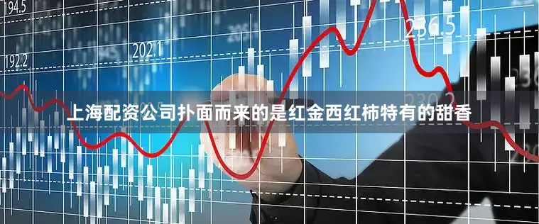 上海配资公司扑面而来的是红金西红柿特有的甜香