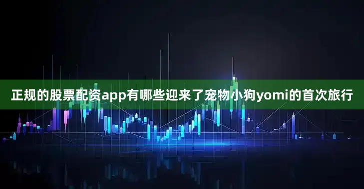 正规的股票配资app有哪些迎来了宠物小狗yomi的首次旅行