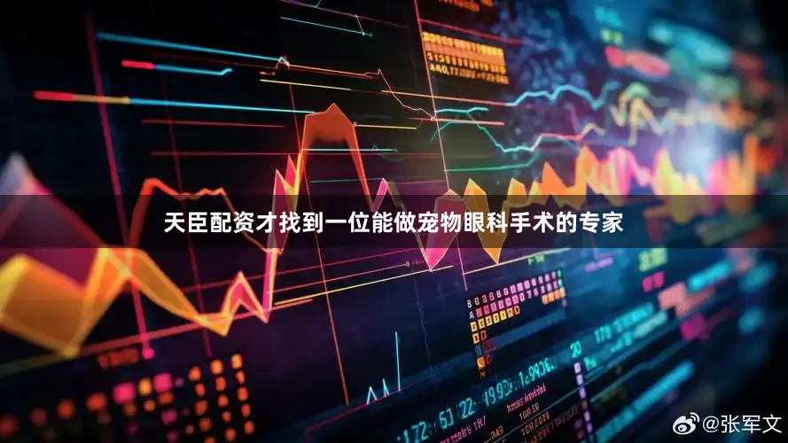 天臣配资才找到一位能做宠物眼科手术的专家