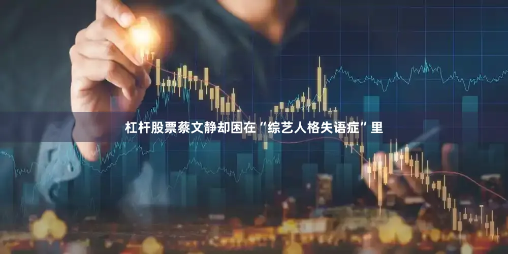杠杆股票蔡文静却困在“综艺人格失语症”里
