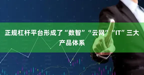正规杠杆平台形成了“数智”“云网”“IT”三大产品体系