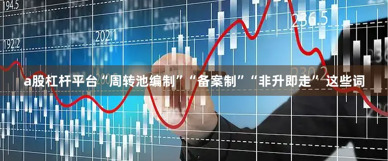 a股杠杆平台“周转池编制”“备案制”“非升即走” 这些词