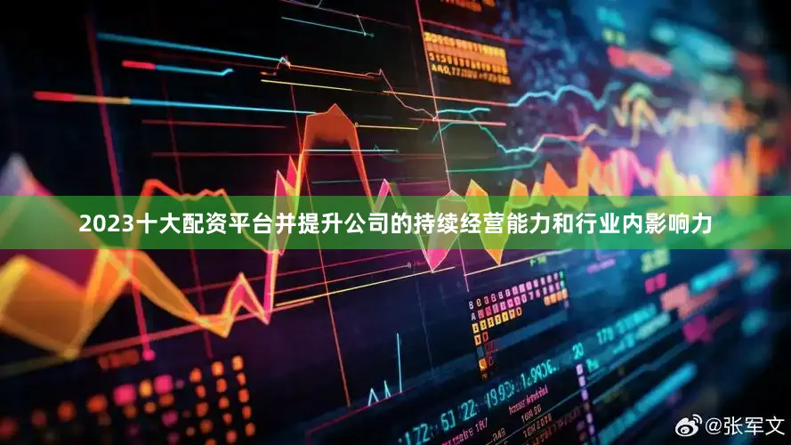 2023十大配资平台并提升公司的持续经营能力和行业内影响力
