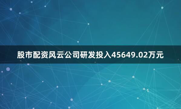 股市配资风云公司研发投入45649.02万元