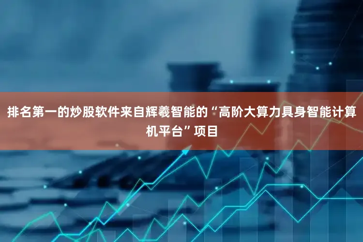 排名第一的炒股软件来自辉羲智能的“高阶大算力具身智能计算机平台”项目