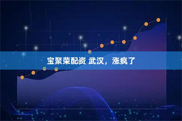 宝聚荣配资 武汉，涨疯了